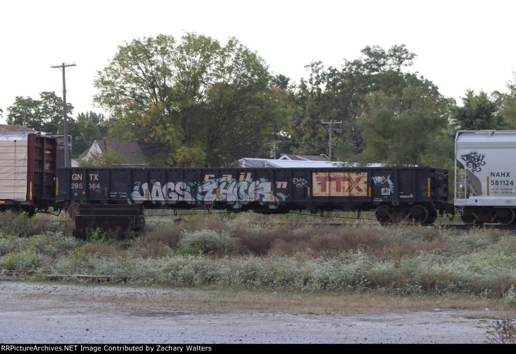 GNTX 295364